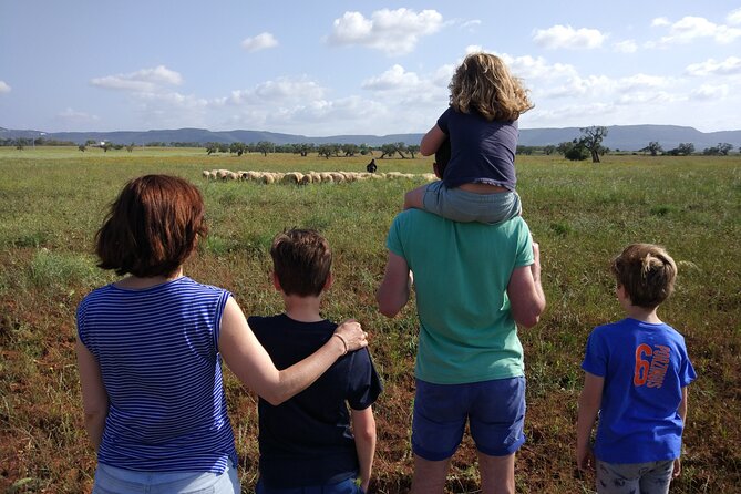 Private Bike Tour With Olive Oil Tasting - The Sum Up