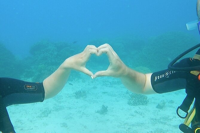 Private Boat for Your Introductory Dive (2 People) - With Video - The Sum Up