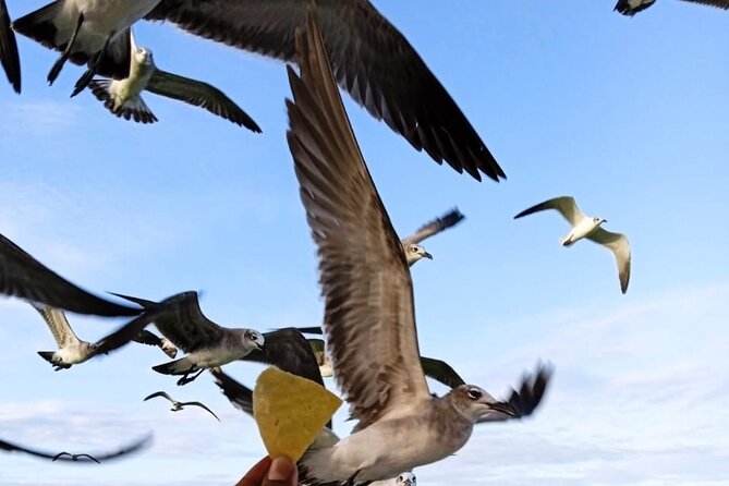 Private Boat Tour (3 Islands Tour) - Common Questions
