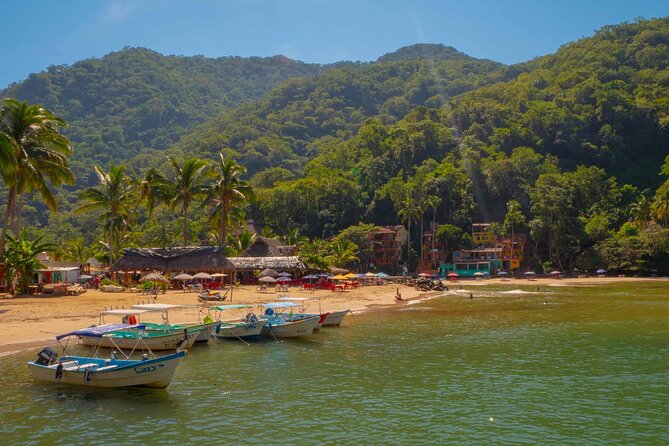 Private Boat Tour to Yelapa With Snorkeling and Waterfall Hike - Tour Highlights and Activities