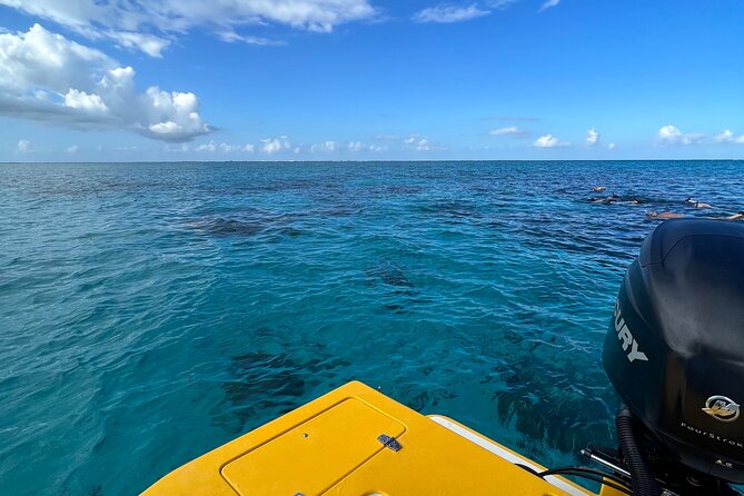 Private Boat Tours: Customize Your Grand Cayman Adventure! - Common Questions