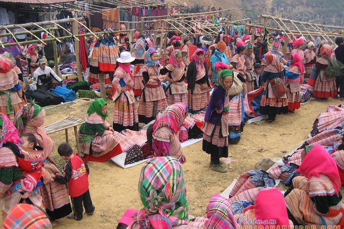 Private Car and Tour Guide Exploring Northern Vietnam - Tips for Exploring Northern Vietnam