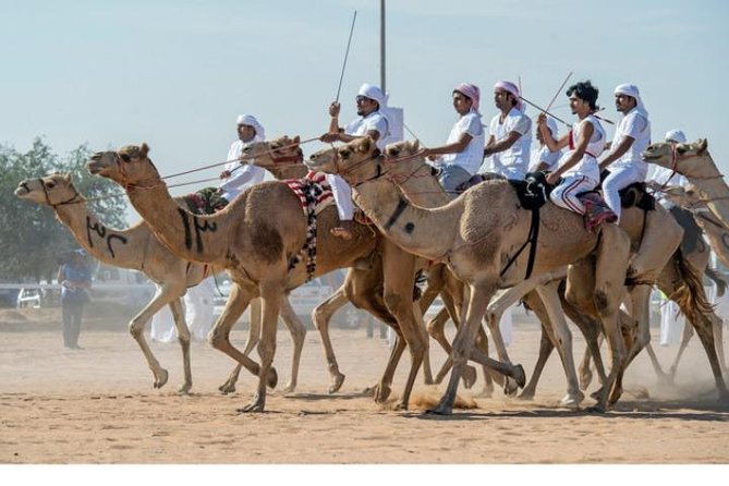 (Private Combo Tour) Sheikh Faisal Museum And Camel Race Track - Directions