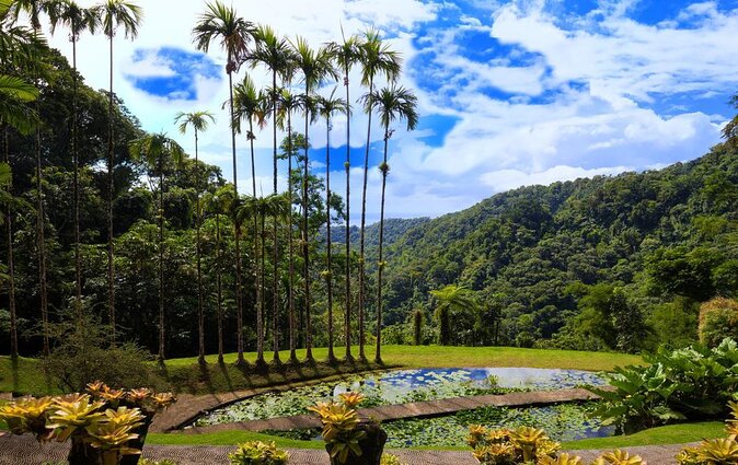 Private Custom Tour of Martinique - Good To Know