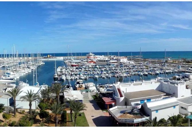 Private Day Tour Sidi Bousaid, Carthage and Hammamet Departing From Sousse - Positive Traveler Reviews