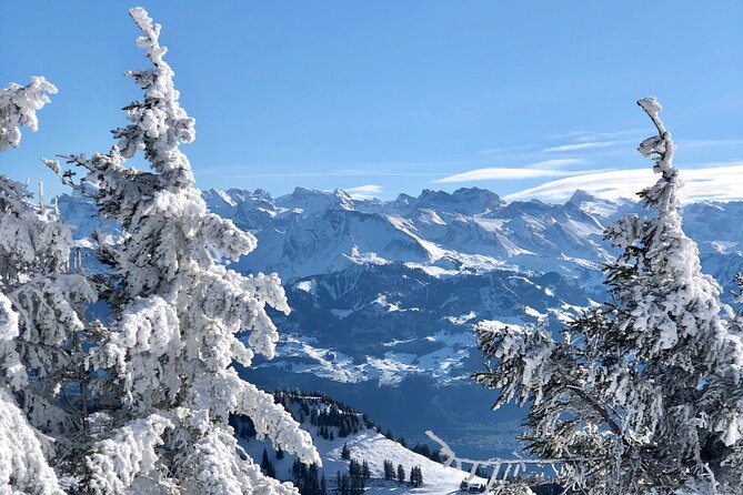 Private Day Trip in the Heart of the ALPS - Jungfrau Region - The Sum Up