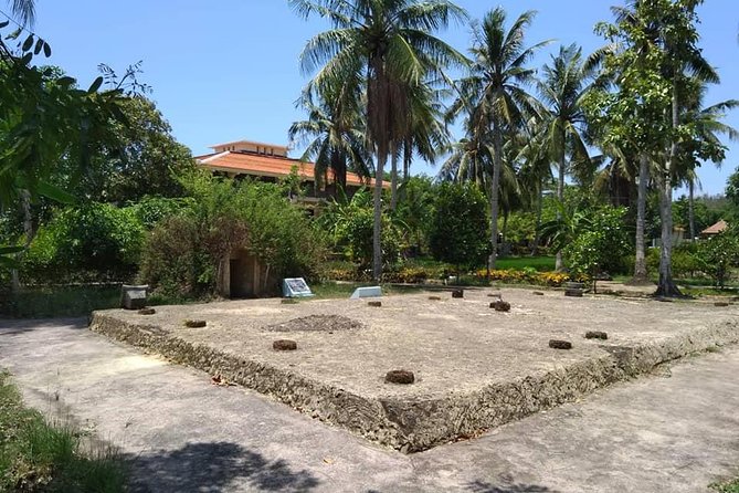 Private Day Trip to Visit MY LAI MASSACRE From Hoi an or Da Nang City - Traveler Reviews