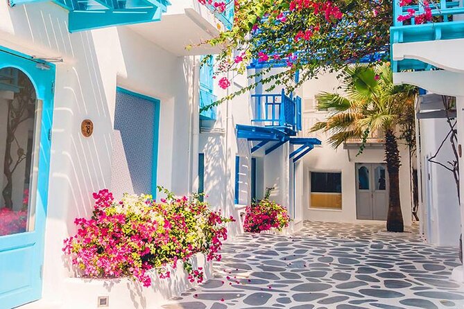 Private Day Trip Tunis Carthage Sidi Bou Said - Questions and Price