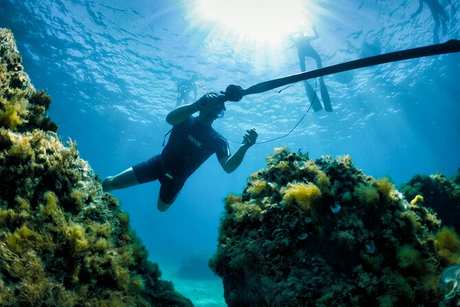 Private Discovery of Underwater Fishing in the Estérel - Exploring the Marine Life in Estérel Through Underwater Fishing