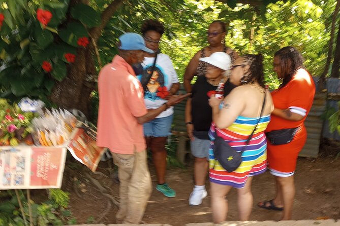 Private Dunns River Falls, Ocho Rios Sightseeing and Shopping - Directions and Tips for a Memorable Experience
