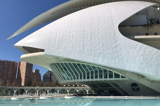 Private E-Scooter Tour City of Art and Science in Valencia City - The Sum Up