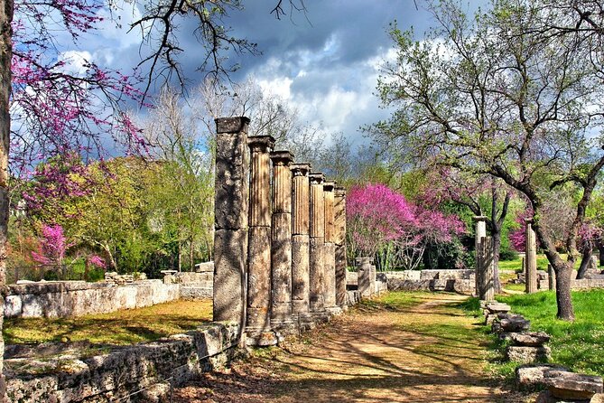 Private Excursion to Ancient Olympia - Bee Farm & Winery - Traveler Photos and Reviews