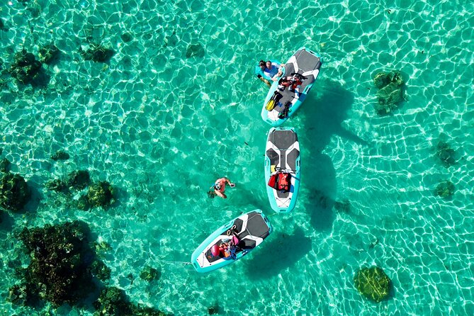 Private Excursion With Bike Paddle in Moorea and Snorkeling - Common Questions