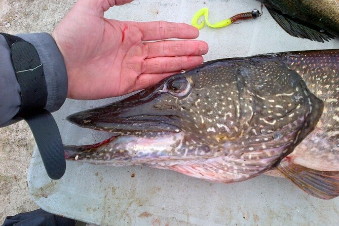 Private Fishing Adventure on the St. Lawrence River - Fishing License Requirements