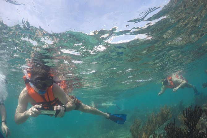 Private Fishing Tour in Yacht Playa Del Carmen - The Sum Up