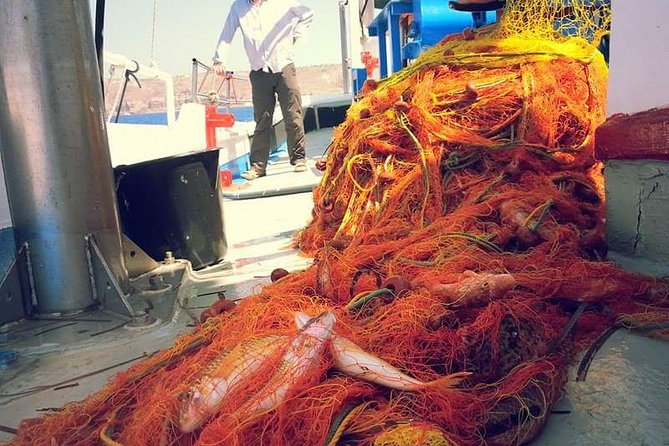 Private Fishing Tour - Morning (Transportation Included) - Traveler Reviews and Ratings