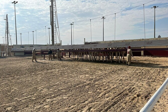 Private Full Day Guided Tour in Qatar North and West - Additional Tips and Recommendations