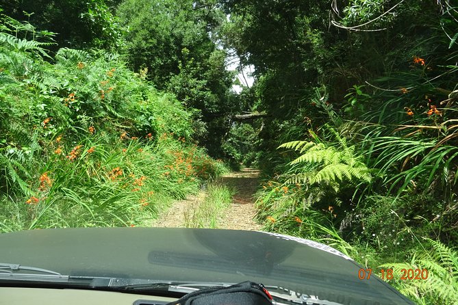 Private Full Day Off-Road Tour in Madeira - Tour Locations and Areas Explored