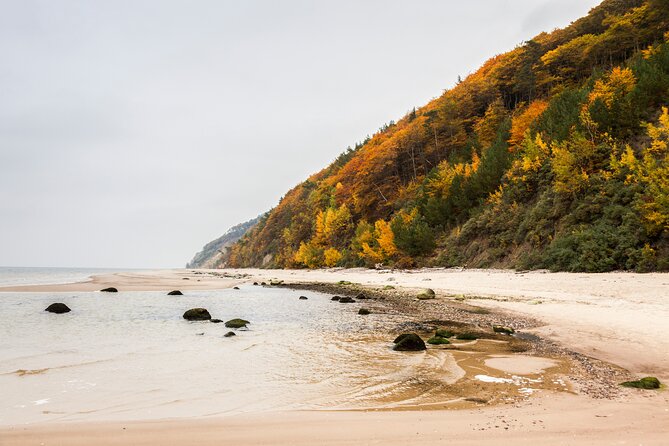 Private Full-Day Tour From Usedom to Wolin National Park - The Sum Up