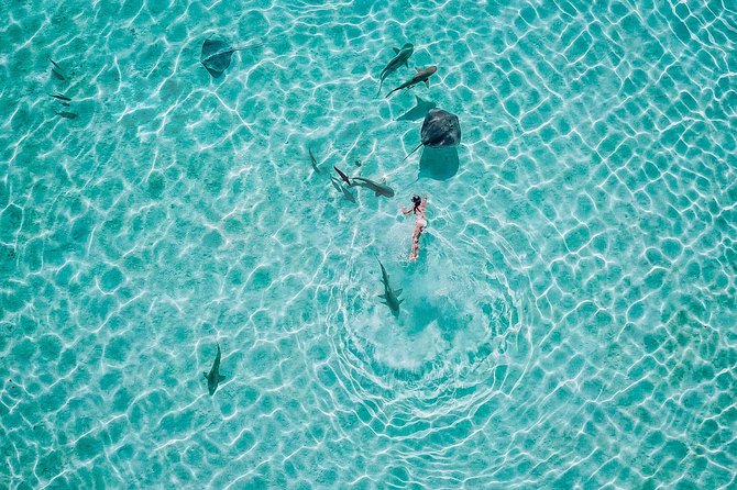 PRIVATE Full Day Tour : Moorea Snorkeling & Sailing on a Catamaran Named Taboo - Tour Operator and Contact Details