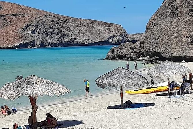 Private Full-Day Tour to Playa Balandra La Paz and Todos Santos - Customer Reviews
