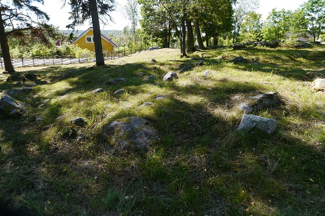 Private Full Day Viking History Tour From Stockholm Including Sigtuna and Uppsala - The Sum Up
