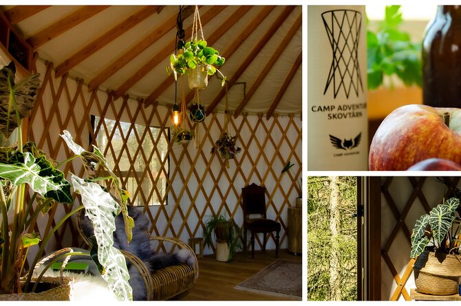 Private Glamping at Forest Tower With Transportation From CPH - Admission Ticket to Roennede