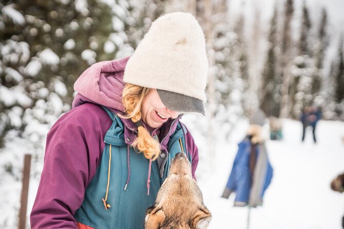 Private Guided Chena River Mush Dream Vacation in Fairbanks - Unforgettable Scenery and Photo Opportunities