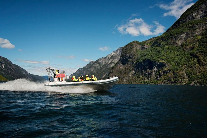 Private Guided Day Tour to Flåm - Incl RIB Sognefjord Safari and Flåm Railway - Questions and Support