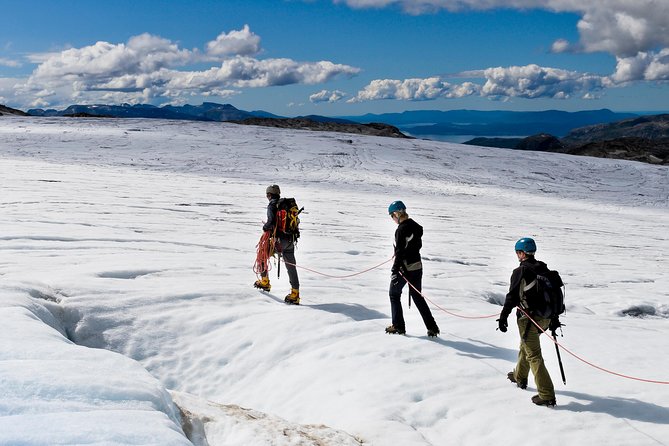 Private Guided Day Tour to Hardanger & Folgefonna Glacier - Incl Blue Ice Hiking - Reviews and Ratings