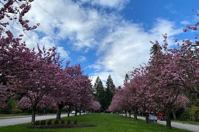 Private Guided Grand City Tour in Vancouver - The Sum Up