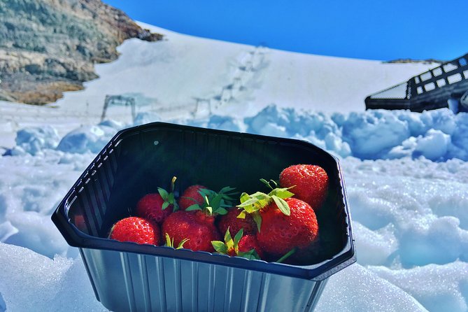 PRIVATE GUIDED TOUR: Folgefonna Glacier Roundtrip From Bergen, 8 Hours - The Sum Up