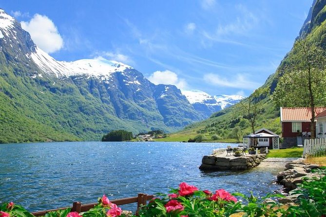 Private Guided Tour - Premium Nærøyfjord Cruise and Flåm Railway - Common Questions