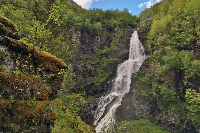 PRIVATE GUIDED TOUR: the Heart of Norway – Viking Special, 8-9 Hours – SUMMER - The Sum Up