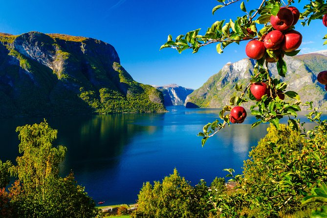 Private Guided Tour to Oslo - Nærøyfjord Cruise and Flåm Railway - Pricing Details