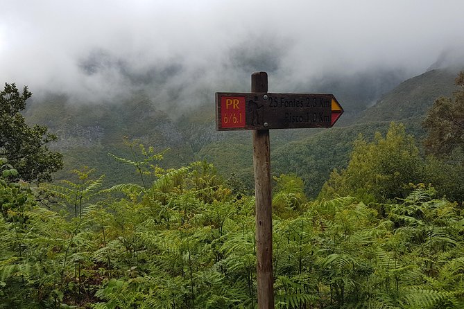 Private Guided Walk Levada 25 Fontes - Guided Walk Highlights