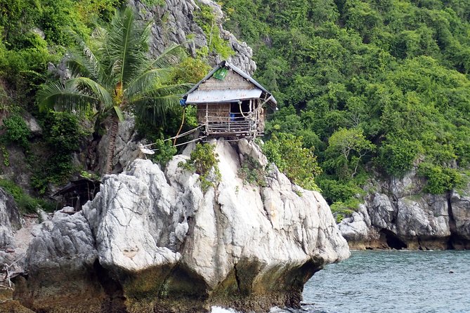 Private Half-Day Blue Dragon Yacht for Snorkeling Koh Tan & Visit Pig Island - The Sum Up