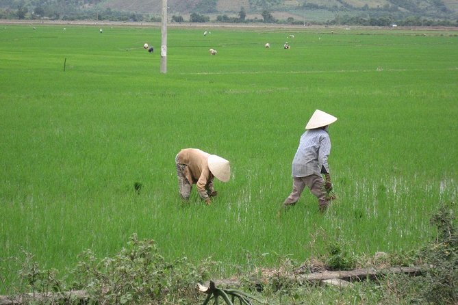 Private Half-Day Guided Tour Explore Da Lat City Highlights - Important Details and Terms