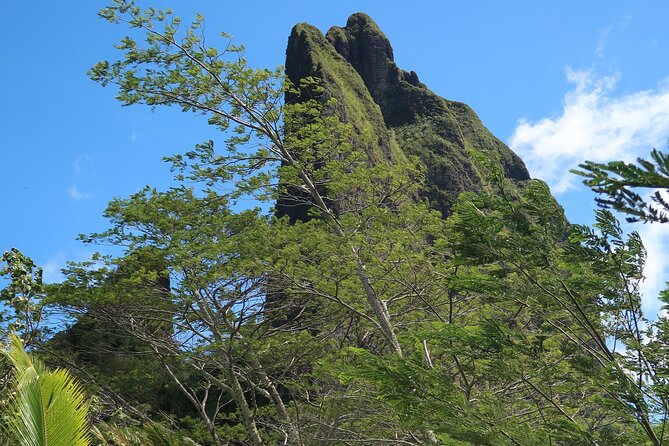 Private Half-Day Hike in the Opunohu Valley in Moorea - Common Questions