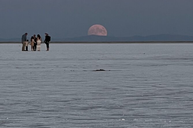 Private Half-Day Tour to Bonneville Salt Flats - Important Information and Cancellation Policy