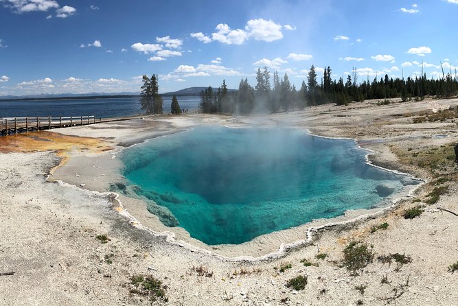 Private Hidden Gems of Yellowstone! Lunch W/ Family Friendly Hikes Included! - The Sum Up
