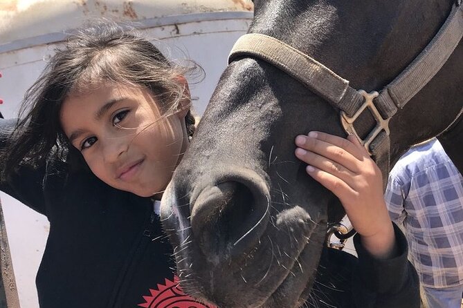 Private Horseback and La Bufadora Shore Excursion - Pricing