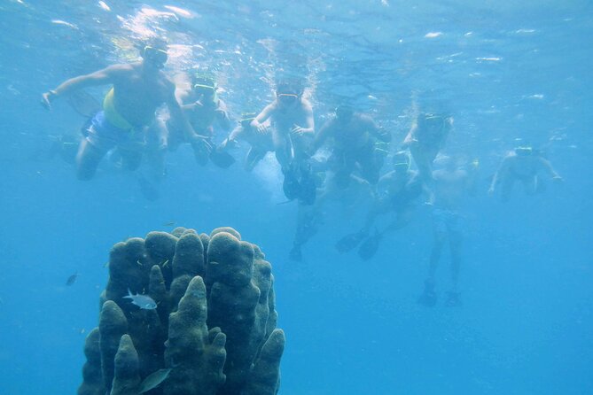 Private Icacos Island Snorkel Tour Aboard El Innovation - Common Questions