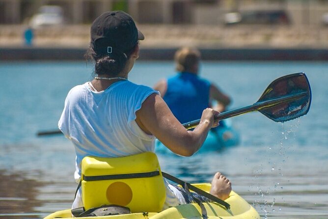 Private Kayaking Adventure Around the Mangroves and La Paz Bay - Need Help? Contact Viator Support
