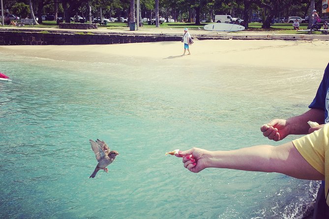 Private Luxury Oahu Island Tour - The Sum Up