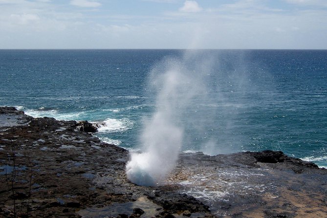 Private Luxury Tour of Kauai: South & West Shores - The Sum Up