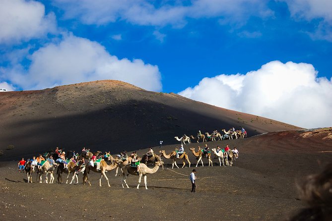 Private Luxury Tour to the National Park of Timanfaya With Camel Ride - The Sum Up