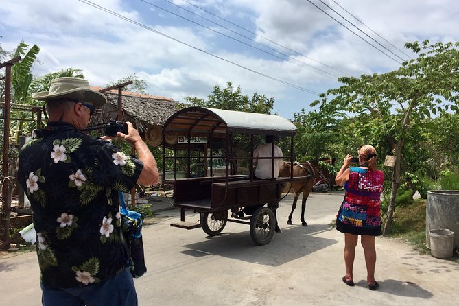 Private Mekong Delta Tour - My Tho - Ben Tre From Cruise Port - Sampling Local Specialties and Delicacies