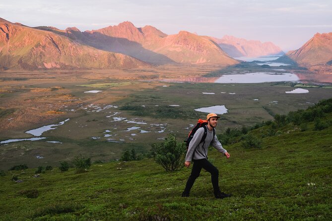 Private Midnight Tour To Gimsøya - Delicious Midnight Snacks