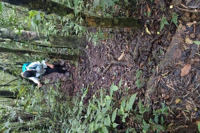 Private Mount Batilamu and Koroyanitu Waterfall Full Day Hike - How to Prepare for the Hike